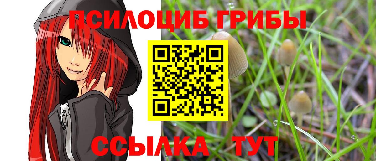 Галлюциногенные грибы MAGIC MUSHROOMS Стрежевой